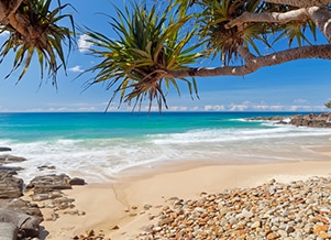 Beautiful Beach Front in Coolum — Upholstery & Carpet Cleaning on the Sunshine Coast, QLD