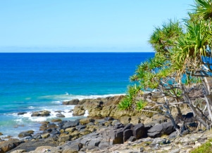 Rocky Beach on Noosa — Upholstery & Carpet Cleaning on the Sunshine Coast, QLD