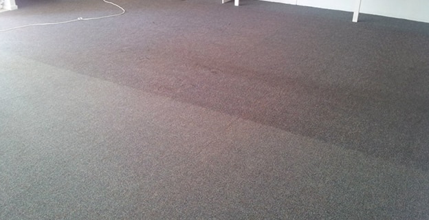 Comparison of Dirty and Clean Carpet — Upholstery & Carpet Cleaning on the Bli Bli, QLD