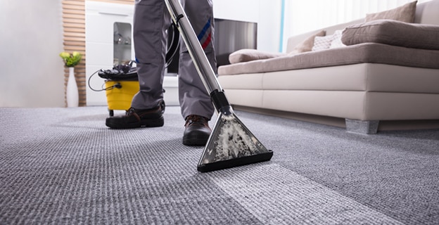 Person Cleaning The Carpet With Vacuum Cleaner In Living Room — Upholstery & Carpet Cleaning on the Peregian Beach, QLD