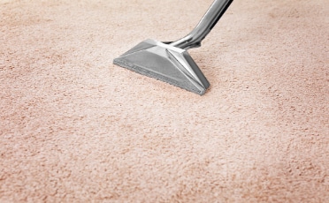 Vacuum Cleaner on Carpet — Upholstery & Carpet Cleaning on the Sunshine Coast, QLD
