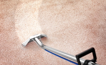 Vacuum Cleaner on Brown Carpet — Upholstery & Carpet Cleaning on the Sunshine Coast, QLD