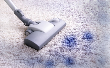 Carpet Cleaning on Removing a Blue Stain — Upholstery & Carpet Cleaning on the Sunshine Coast, QLD