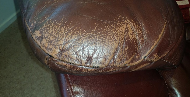 Leather with Lots of Stain — Upholstery & Carpet Cleaning on the Bli Bli, QLD