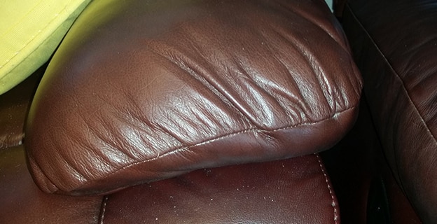 Newly Cleaned Brown Leather Cushion — Upholstery & Carpet Cleaning on the Coolum, QLD