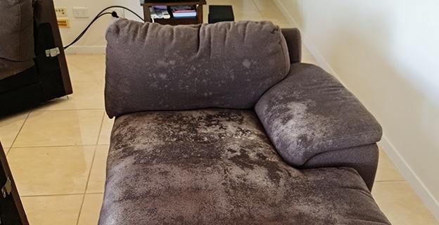 Brown Sofa with Mould — Upholstery & Carpet Cleaning on the Yandina, QLD
