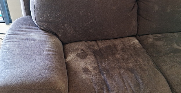 Sofa with Mould — Upholstery & Carpet Cleaning on the Peregian Beach, QLD