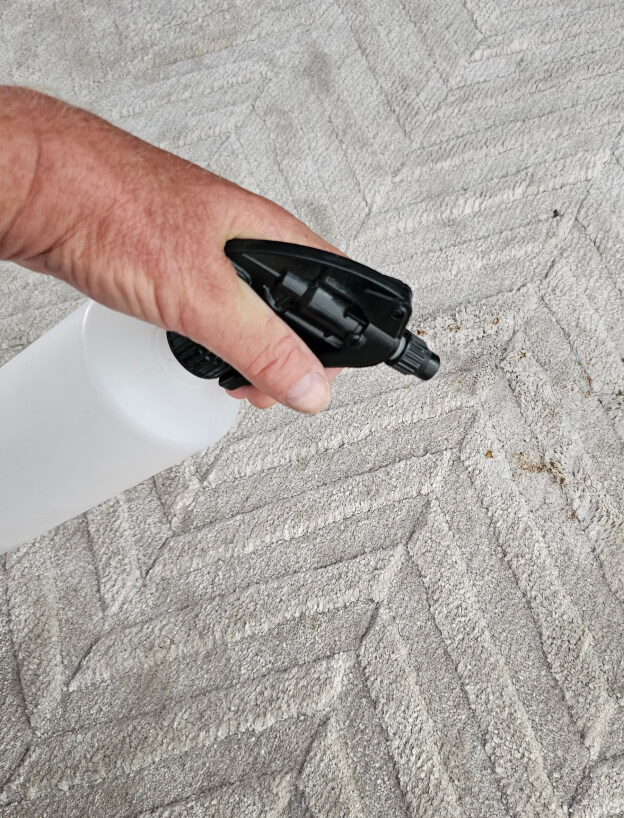 Carpet Cleaning Sunshine Coast Carpetmaster