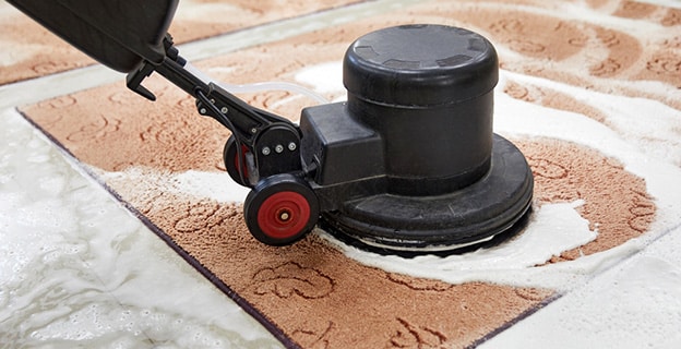Carpets Cleaning Using Disk Machine — Upholstery & Carpet Cleaning on the Peregian Beach, QLD