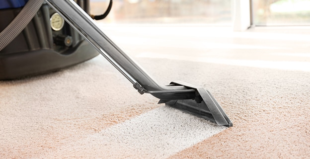 Steam Vapor Cleaner Removing Dirt from Carpet — Upholstery & Carpet Cleaning on the Sunshine Coast, QLD