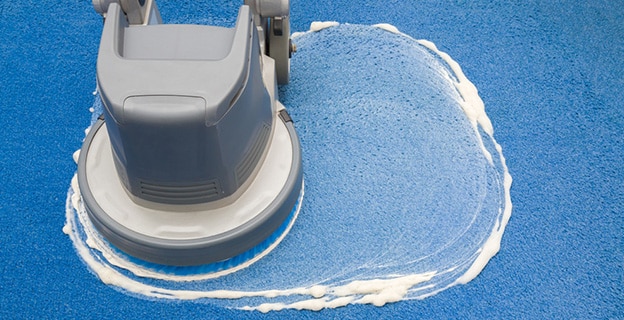 Carpet Chemical Foaming — Upholstery & Carpet Cleaning on the Bli Bli, QLD