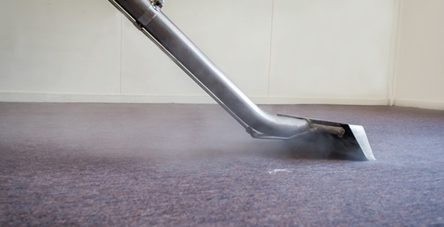 Close-up of Carpet Cleaning — Upholstery & Carpet Cleaning on the Sunshine Coast, QLD