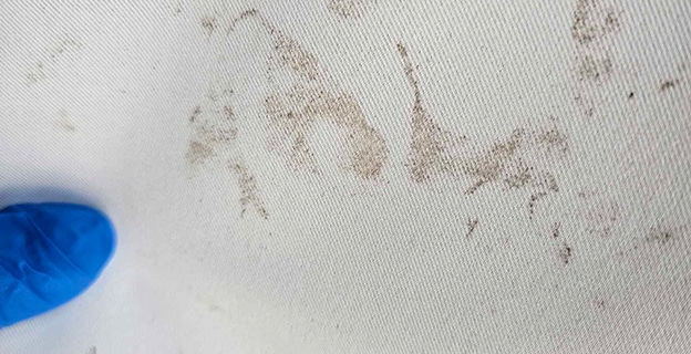 Close-up of Dirty Curtains — Upholstery & Carpet Cleaning on the Noosa, QLD