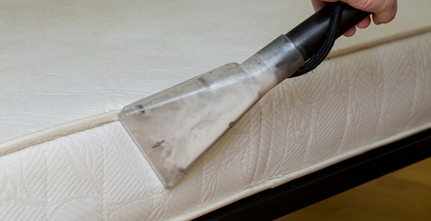 Close-up of Dry Cleaning of An Old White Mattress — Upholstery & Carpet Cleaning on the Bli Bli, QLD