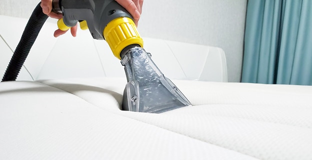Close-up of On Going Mattress Cleaning — Upholstery & Carpet Cleaning on the Yandina, QLD