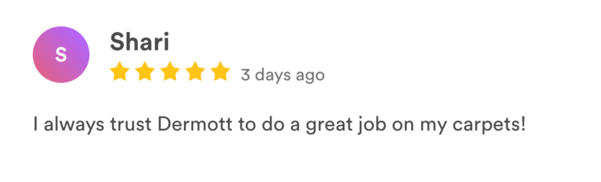 carpetmaster LS reviews-1