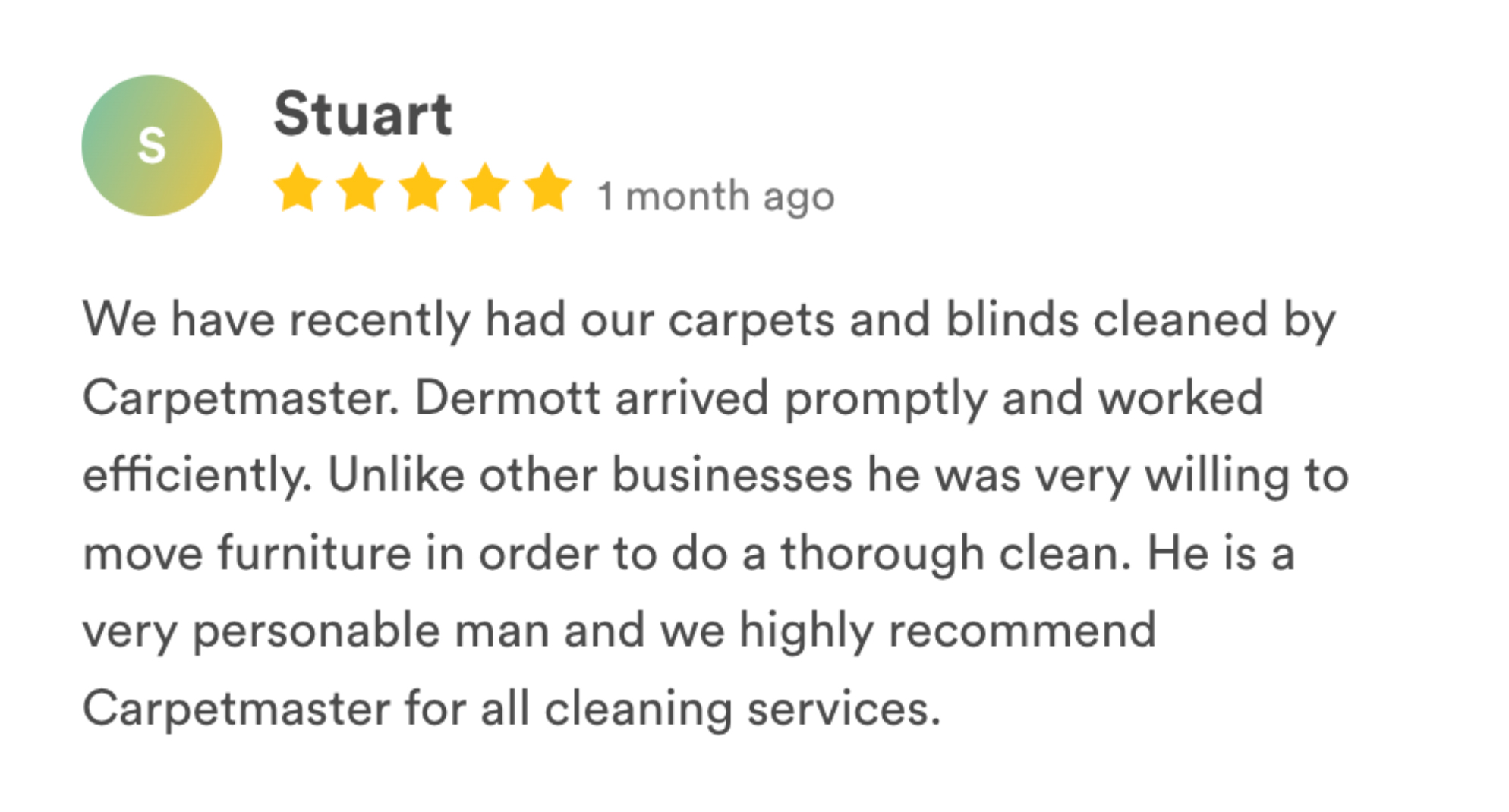 carpetmaster LS reviews-13