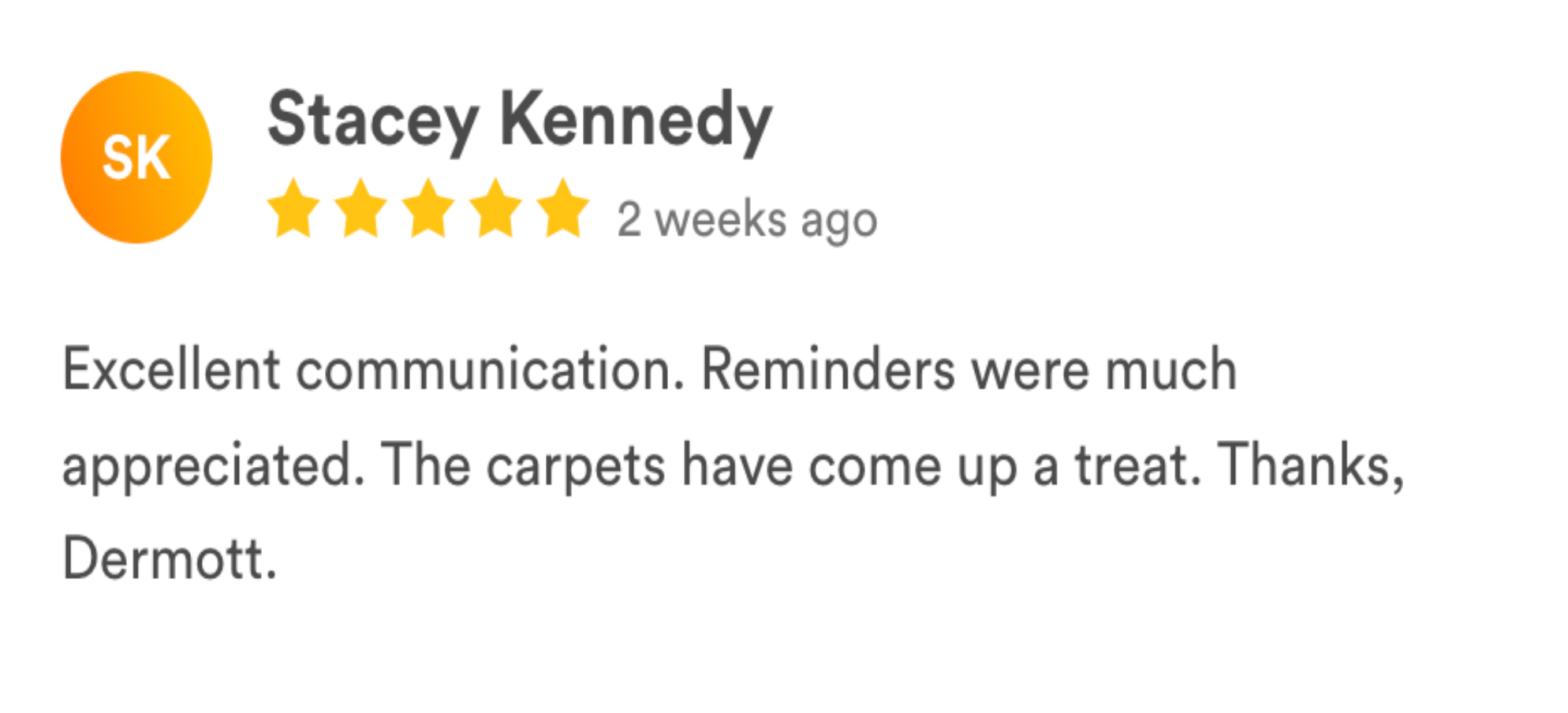 carpetmaster LS reviews-8