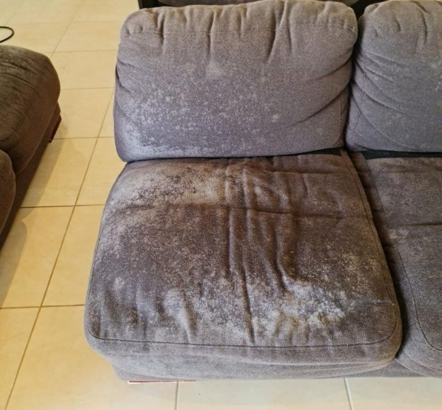 Brown Uncleaned Furniture — Upholstery & Carpet Cleaning on the Sunshine Coast, QLD