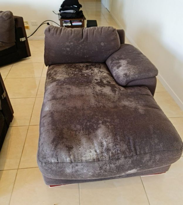 Uncleaned Living Room Sofa — Upholstery & Carpet Cleaning on the Sunshine Coast, QLD
