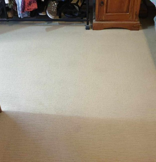 Carpet after stain Removal— Upholstery & Carpet Cleaning on the Sunshine Coast, QLD