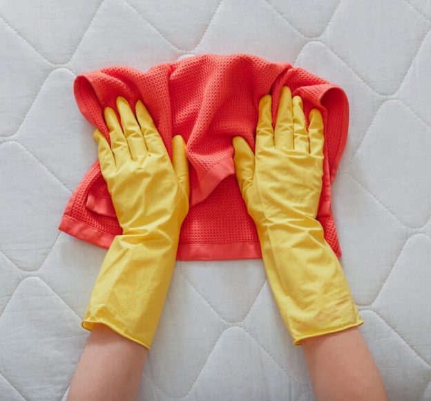 Hands in Rubber Gloves Do Mattress Chemical Cleaning — Upholstery & Carpet Cleaning on the Marcoola, QLD