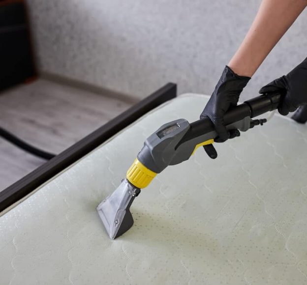 Mattress Cleaning Using Dry Cleaner Machine — Upholstery & Carpet Cleaning on the Yandina, QLD