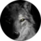 Ivan McWilliams Avatar